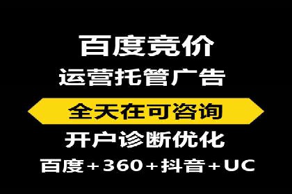 专业SEM托管服务成功案例分享